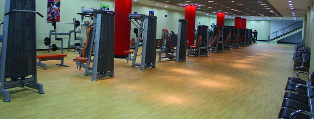 �������\(y��n)��(d��ng)���z