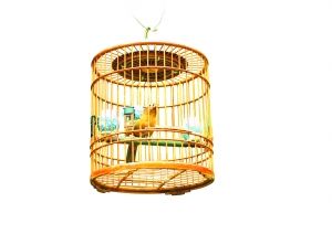 �e���������f��