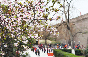 �h(hu��n)�ǹ��@��ęѻ������_�ţ��������������^����