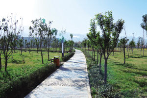 �����ֵ����e�V��