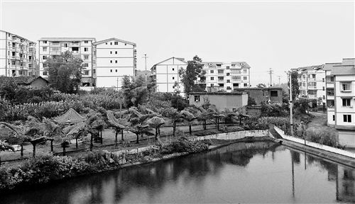 ���������(zh��n)�m�@���r(n��ng)���¾���ӛ��