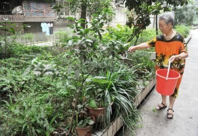 6��27�գ�ͬ�Ƙ�M��8̖(h��o)Ժ���S�����ڽoԺ��ֲ�ˮ��