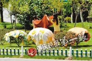 �G���������������ؓ(f��)��(d��n)����ѽ��