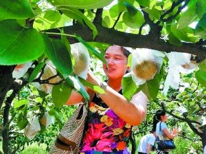 �������·���(qi��ng)�ҵ���@ժ�����ؑc����(b��o)�����x��ӛ��