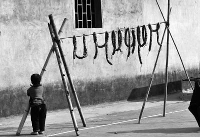 �@��������ϕ��������^���D��